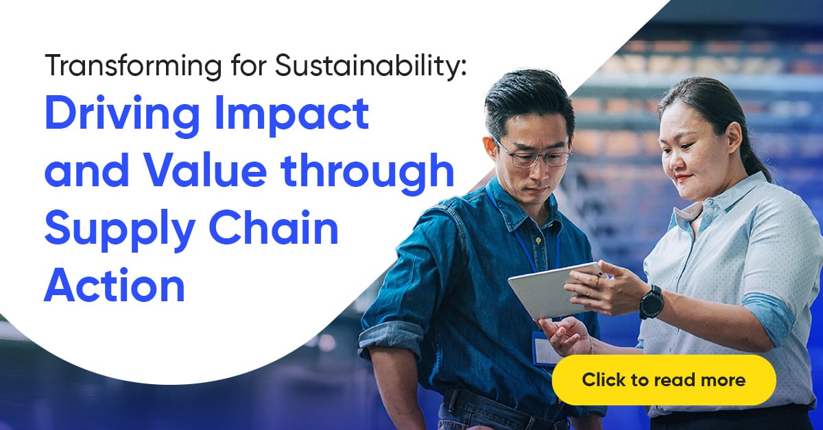 CIIP_transforming-for-sustainability